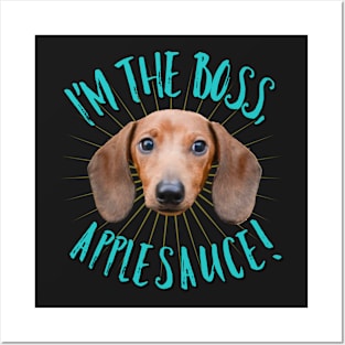 Dachshund - I'm the Boss, Applesauce! Posters and Art